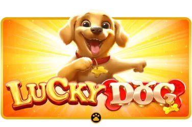edc toto featured game showcase edc toto featured game showcase